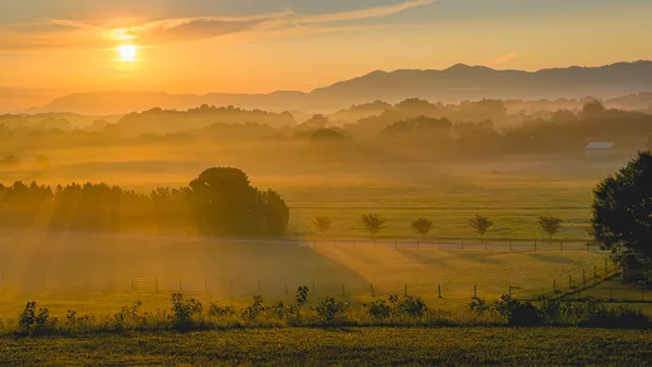 The Sunrise thumbnail