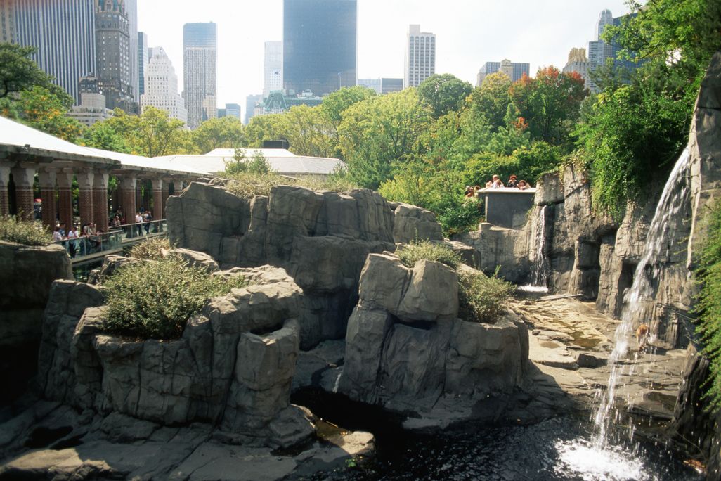 zoo