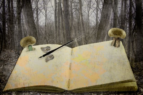 Enchanted forest story book thumbnail