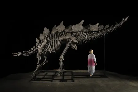 Prior to the auction, &quot;Apex&quot; was on exhibition at Sotheby&rsquo;s galleries in New York.