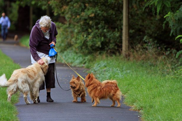 Senior-lady-dog-walker.jpg