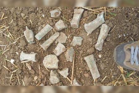 The 13-year-old discovered the cache on her third metal-detecting outing.