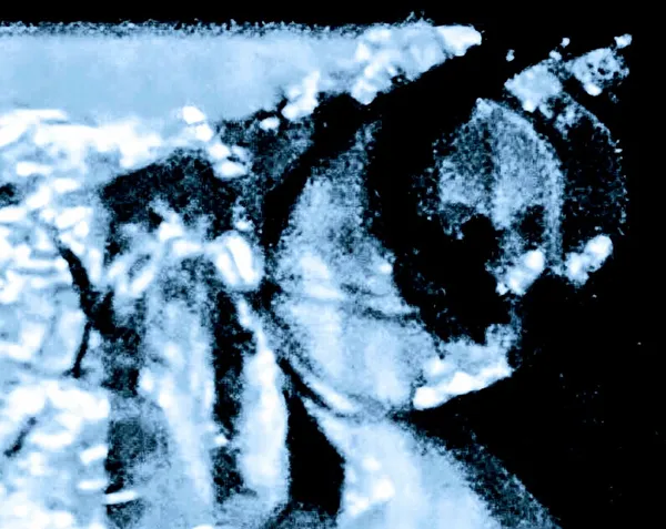 By the Light of the Silver Crescent Moon thumbnail