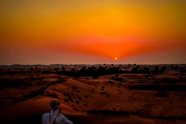 Desert sunset thumbnail