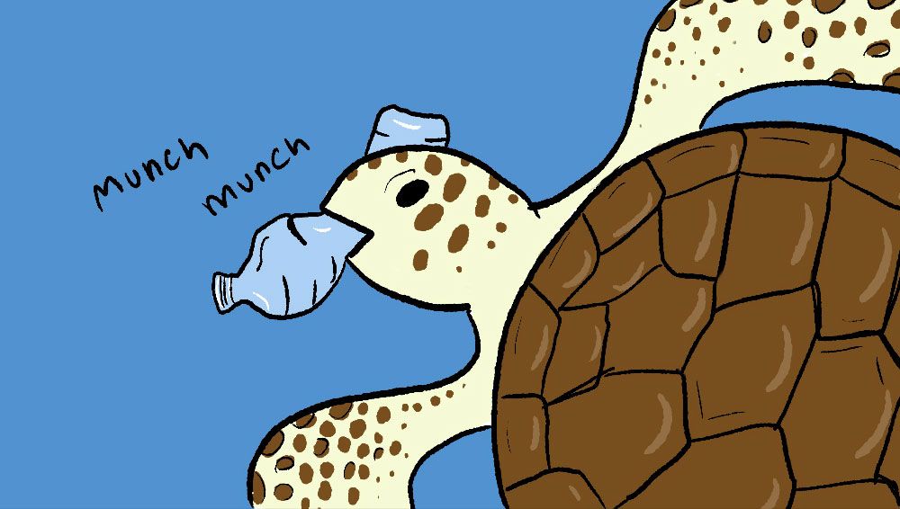 sea turtle eating plastic