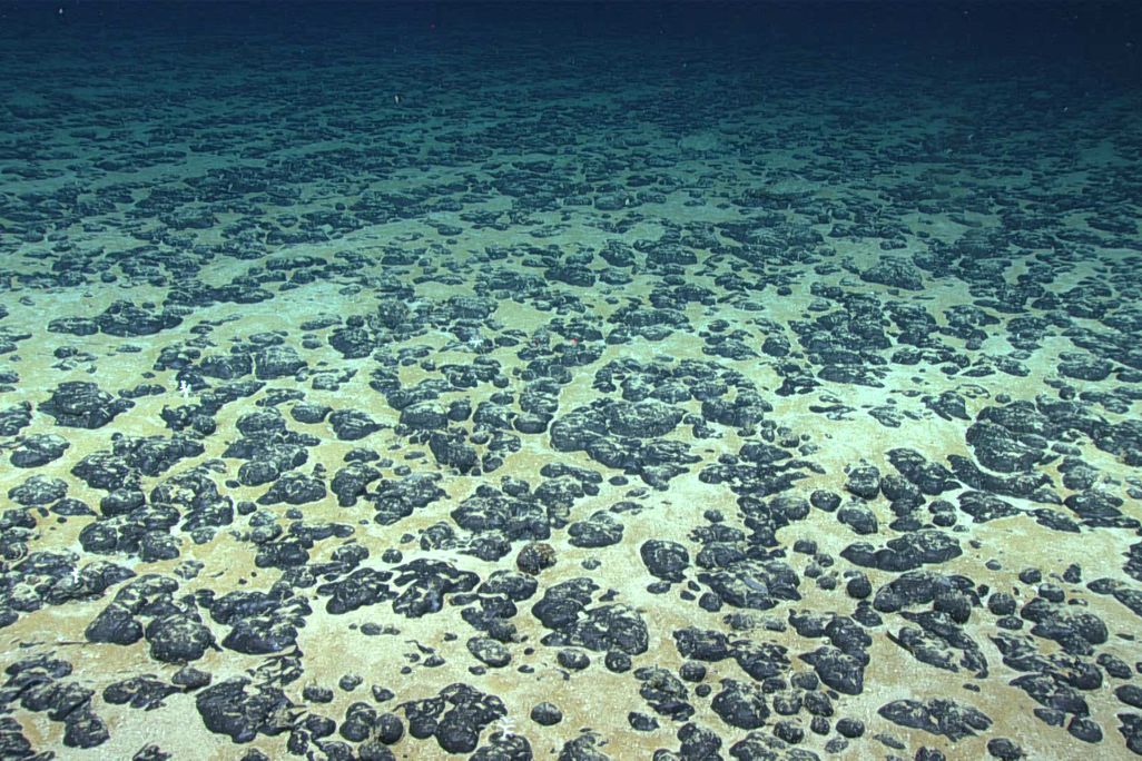Lumpy objects covering sandy sea floor under the water