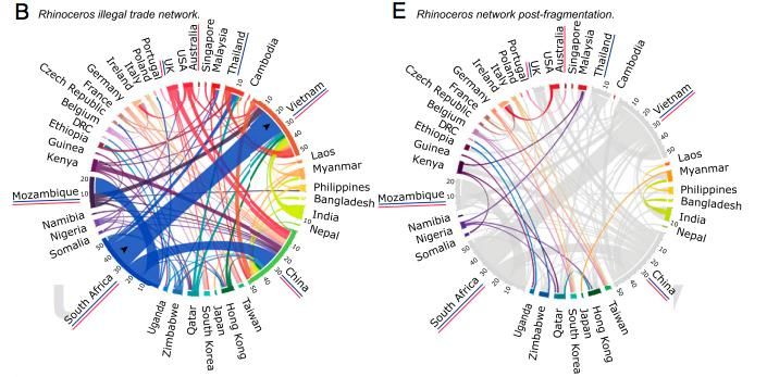 DNA and Databases Help Untangle the Web of the Illegal Wildlife Trade