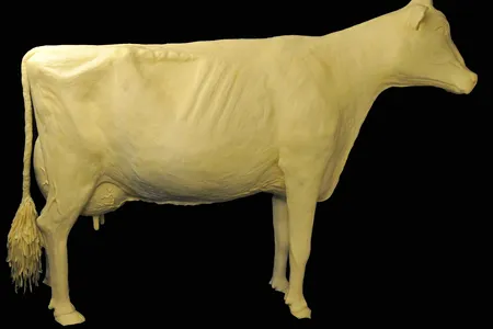 The Iowa State Fair butter cow has been carved annually since 1911.