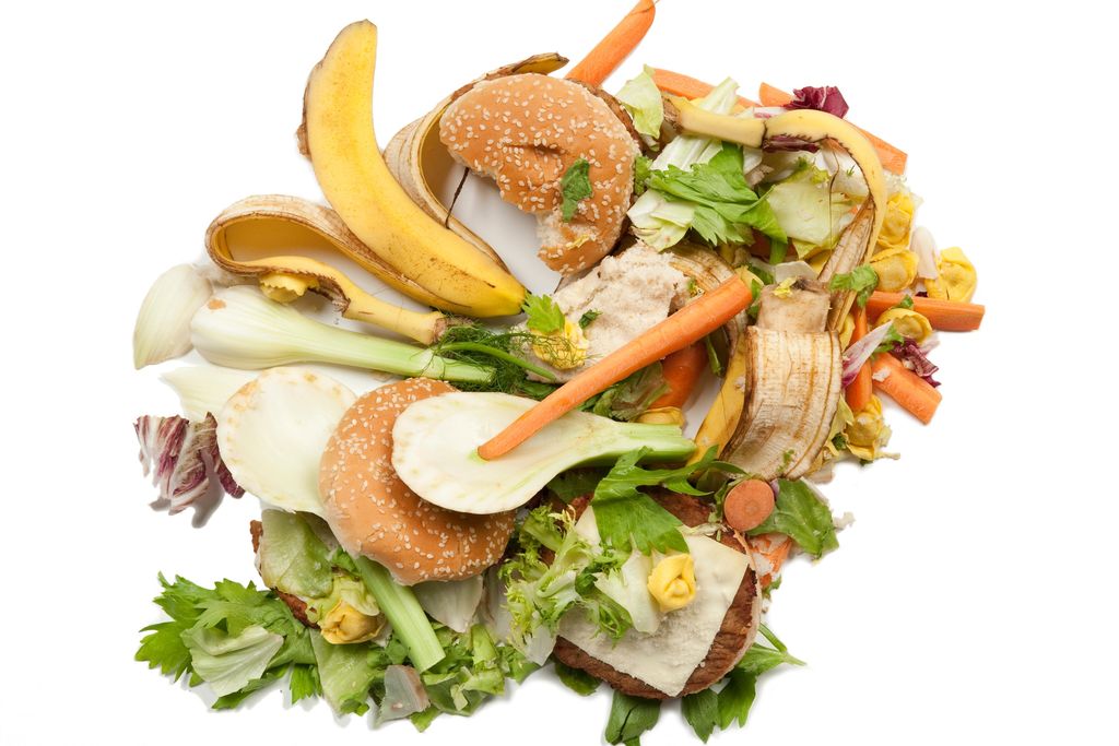 iStock_000015416532_Large.jpg