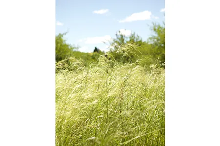 “Very, very early in my boyhood,” Hudson wrote, “I had acquired the habit of going about alone.”