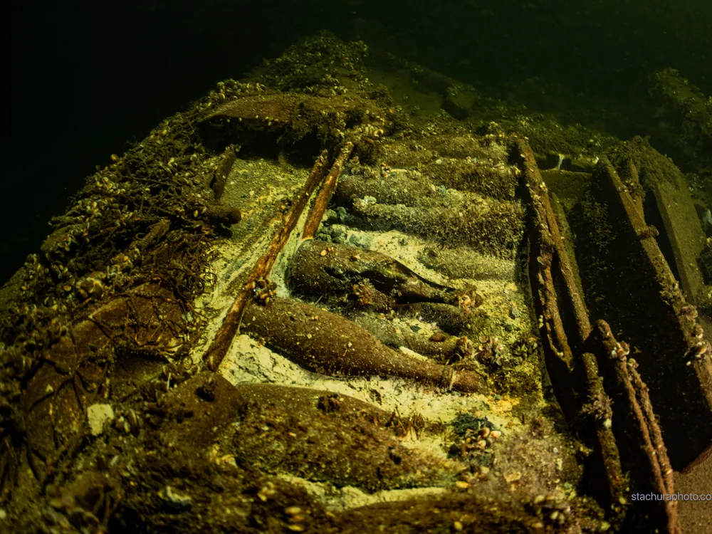 Underwater view of bottles on a shipwreck