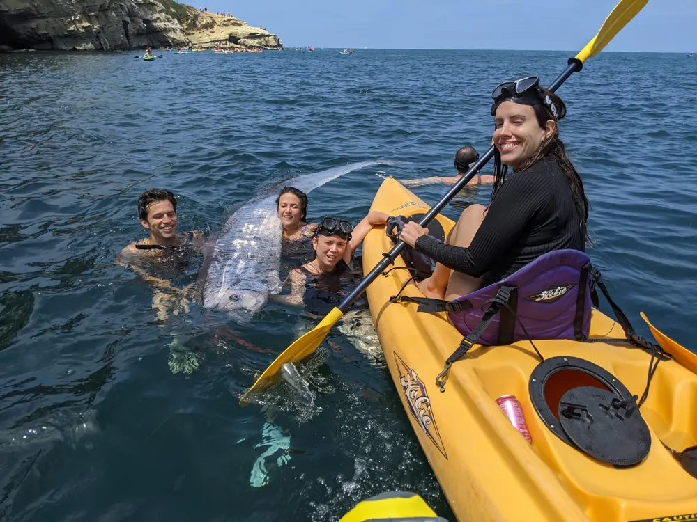 Snorkelers in the water next to a large fish and a yellow kayak with a woman in it