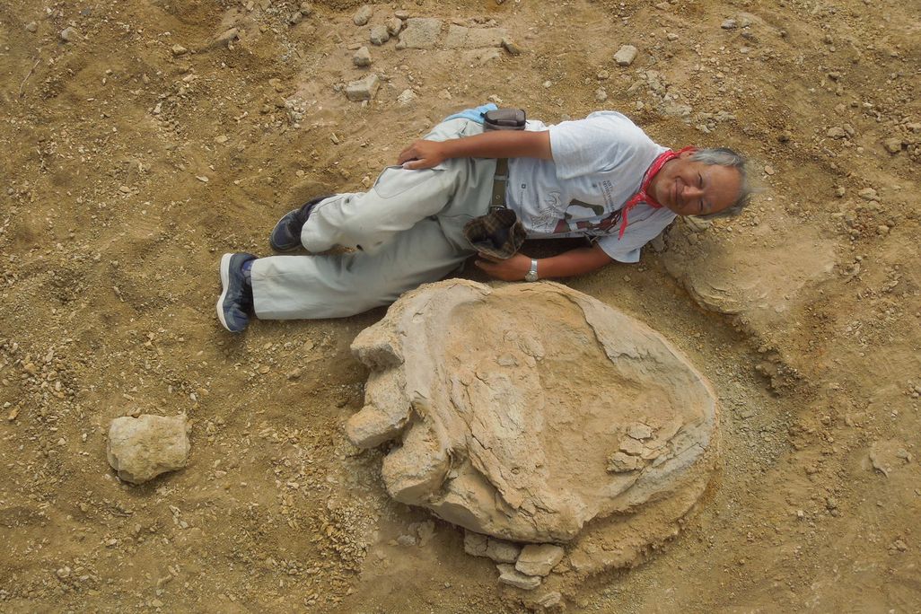 BETTER TITANOSAUR!