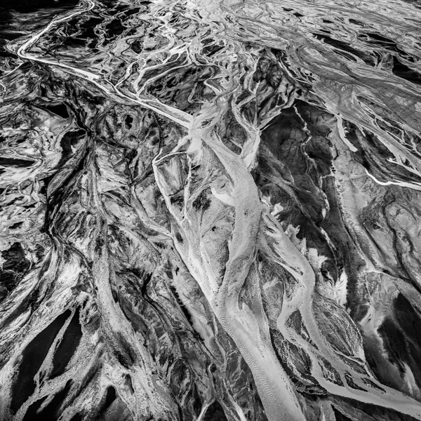 Veins No.1 thumbnail