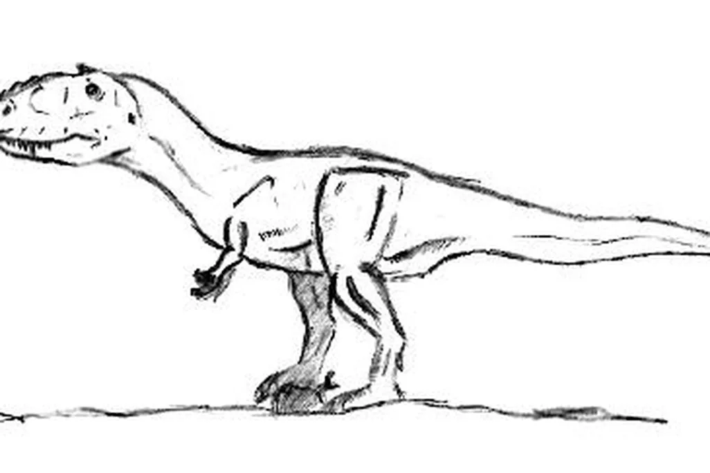 20110520083119tyrannosaurus-drawing-switek.jpg