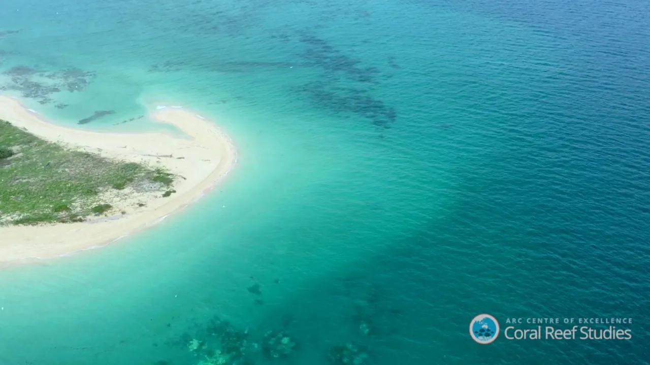 Preview thumbnail for Coral Bleaching 2016