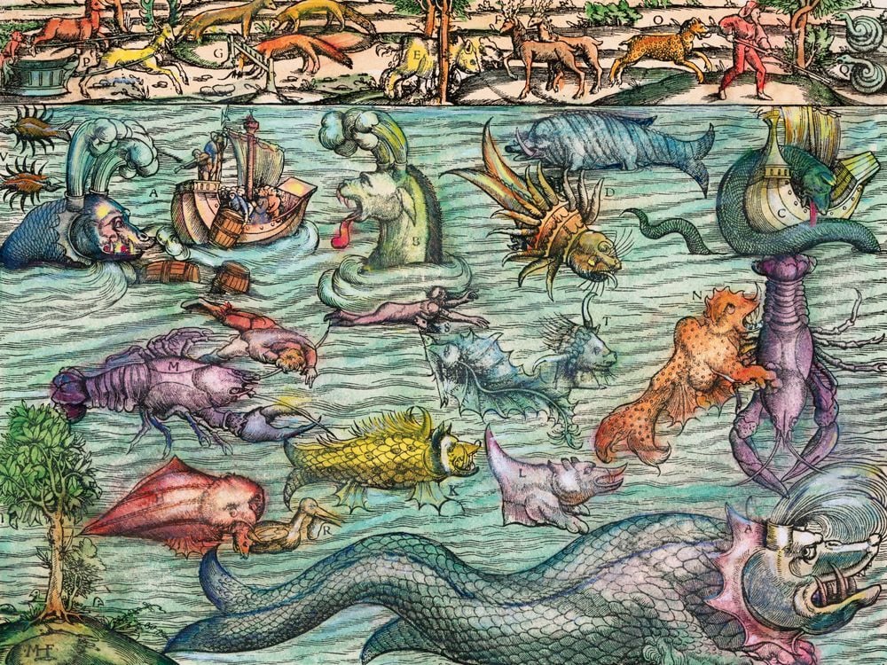 Sharks Were Once Called Sea Dogs, And Other Little-Known Facts