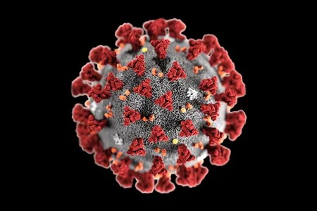 This illustration, created by the Centers for Disease Control and Prevention (CDC), shows the virus' spiky, crown-like fringe that shrouds each viral particle—giving it a “coronated” appearance.