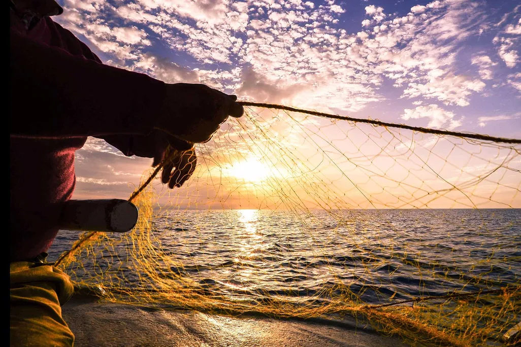 Fisherman Pulling In Net