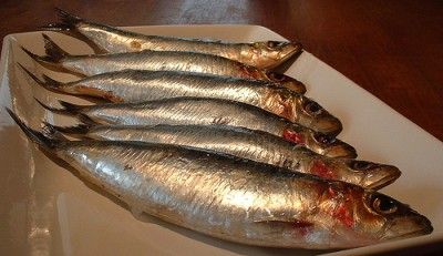 20110520090125sardines_FotoosVanRobin_1074141651_09210fd5ed-400x231.jpg