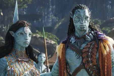 Critics say the portrayal of the Na&#39;avi alien species in&nbsp;Avatar&nbsp;appropriates and homoginizes Indigenous cultures.