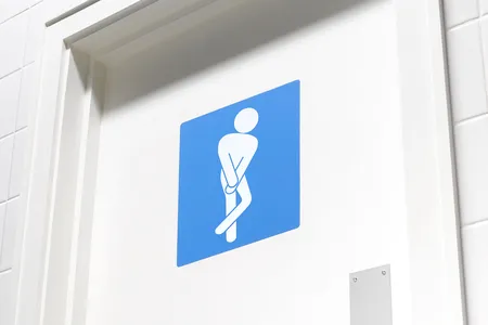 The bladder and the brain are involved in determining when we need to urinate.