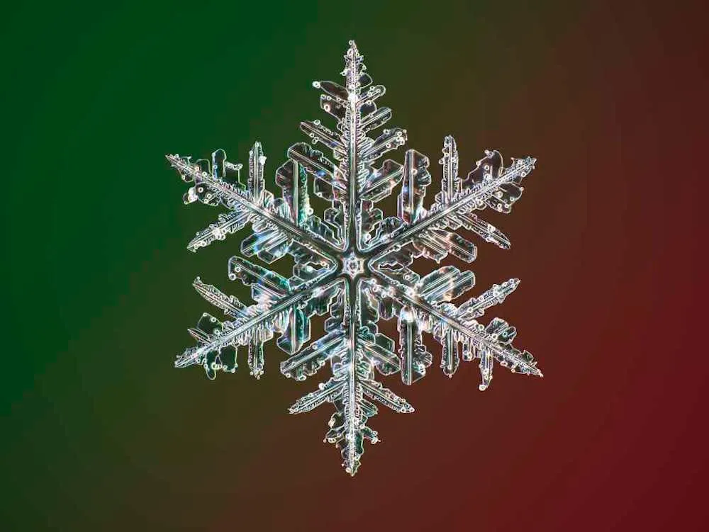 electron microscope images of snowflakes