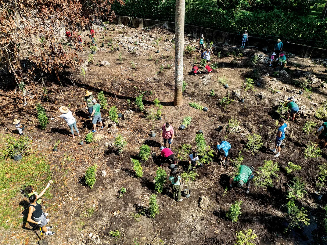 Tree planting at Camp Mahachee.