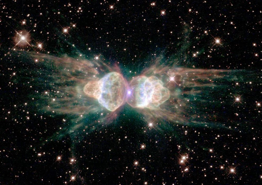 The Ant planetary nebula