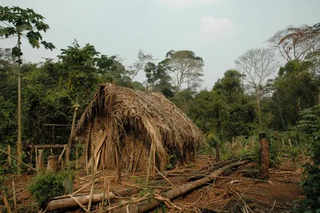 One of the man&rsquo;s huts