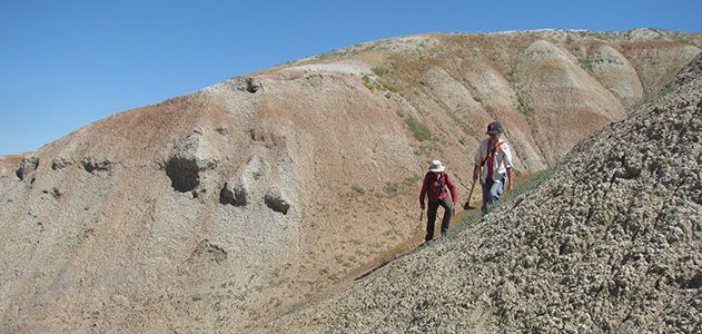 Researchers at Wyoming dig site
