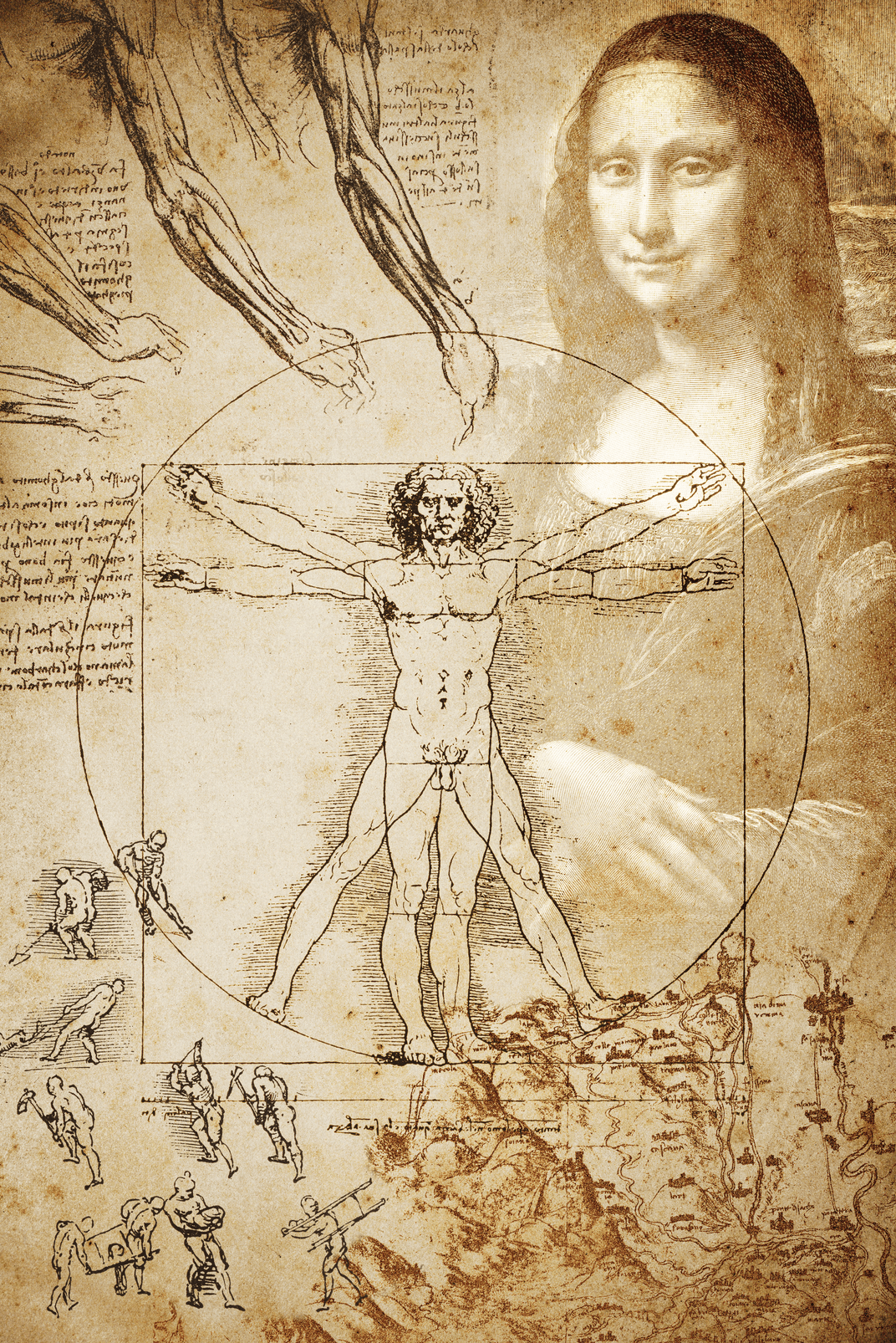 Leonardo drawings