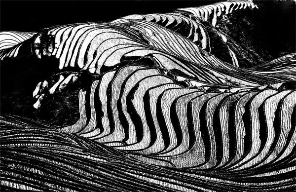 Skeleton of the earth thumbnail