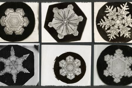 The original photos from late 1800s by famous snowflake photographer Wilson “Snowflake” Bentley, are stored in the Smithsonian Archives. His pictures were instrumental in helping scientists examine snow’s crystalline properties. (Erin Malsbury, Smithsonian Open Access, Wilson A. Bentley)