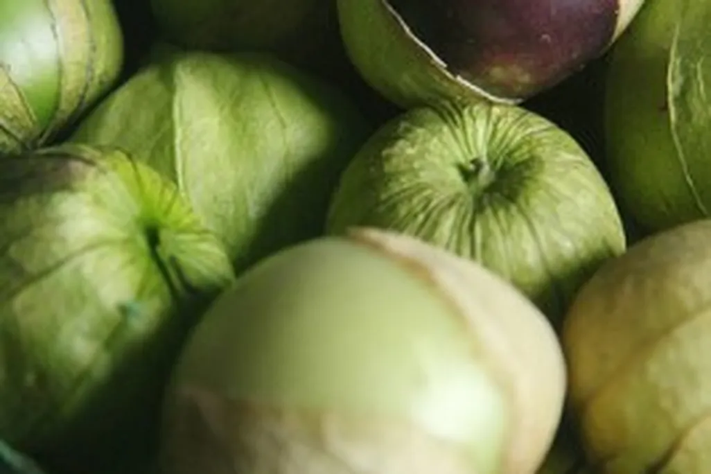20110520090142tomatillos-by-Polkaroo-266x400.jpg