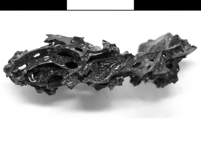 A fragment of the glass found within the skull of a college custodian in the Roman town of Herculaneum.