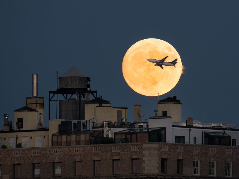 Supermoon rising, New York Smithsonian Photo Contest Smithsonian