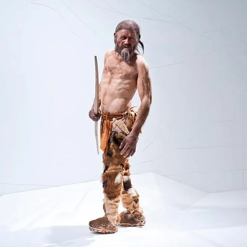 Mosses Expand the Story of Ötzi the Iceman's Final Journey