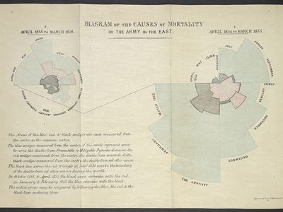 In her seminal rose diagram, Florence Nightingale demonstrated that far more soldiers died from preventable epidemic diseases (blue) than from wounds inflicted on the battlefield (red) or other causes (black) during the Crimean War (1853-56). “She did this with a very specific purpose of driving through all sorts of military reforms in military hospitals subsequent to the Crimean War," says Kieniewicz.