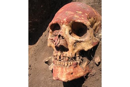 This Bronze Age skull is from the Yamnaya culture, which later developed into the Afanasievo culture of Central Asia, one of the peoples that carried early strains of plague.