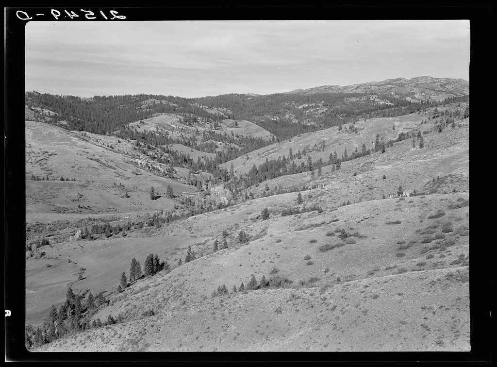 A black and white image of a valley sparsely populated with trees
