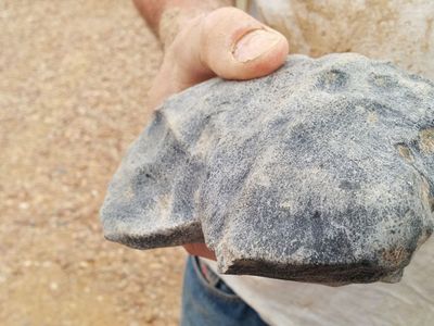 A meteorite discovered in the Australian ouback on New Year's Eve.