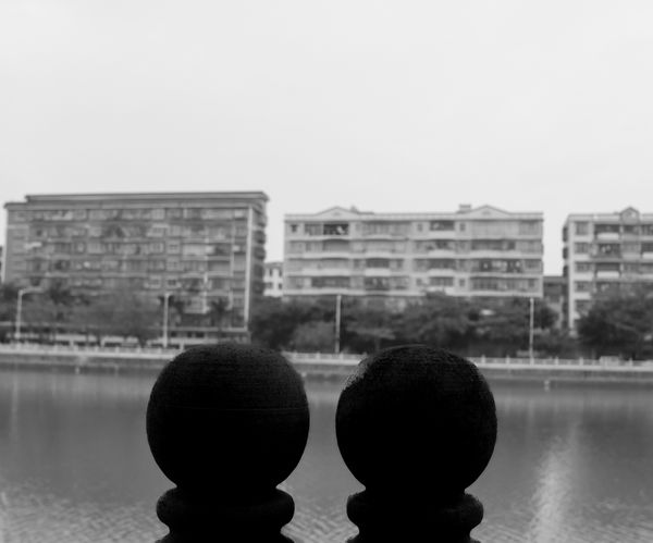 Witnesses of Urban Change thumbnail