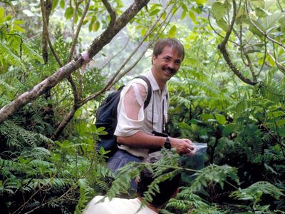 Meet the Smithsonian Scientist Untangling the Branches of Hawaii’s Evolutionary Tree image
