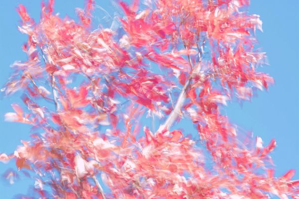 Wind and Color 1 thumbnail