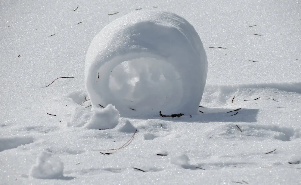 Snow Roller