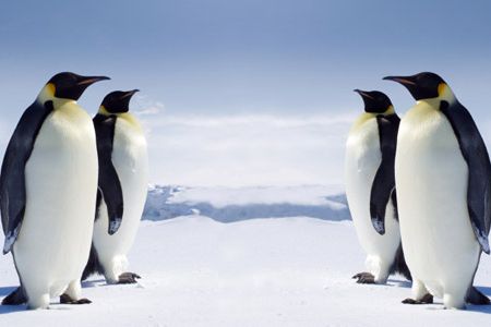 Antarctica