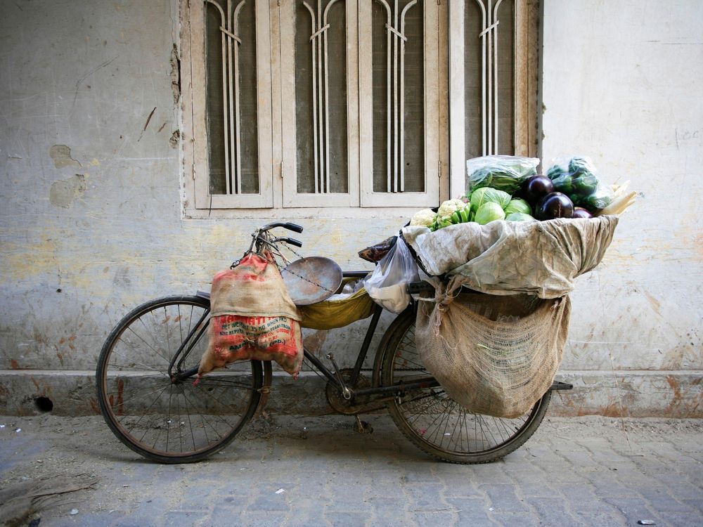 Delhi Street Vendor