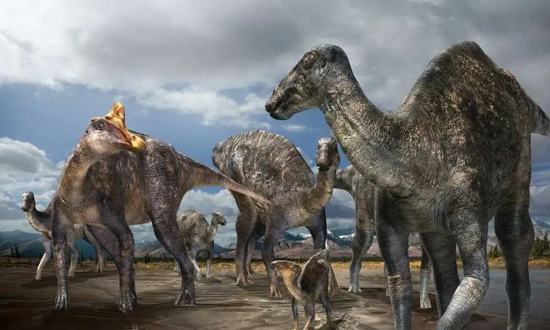 Lambeosaur
