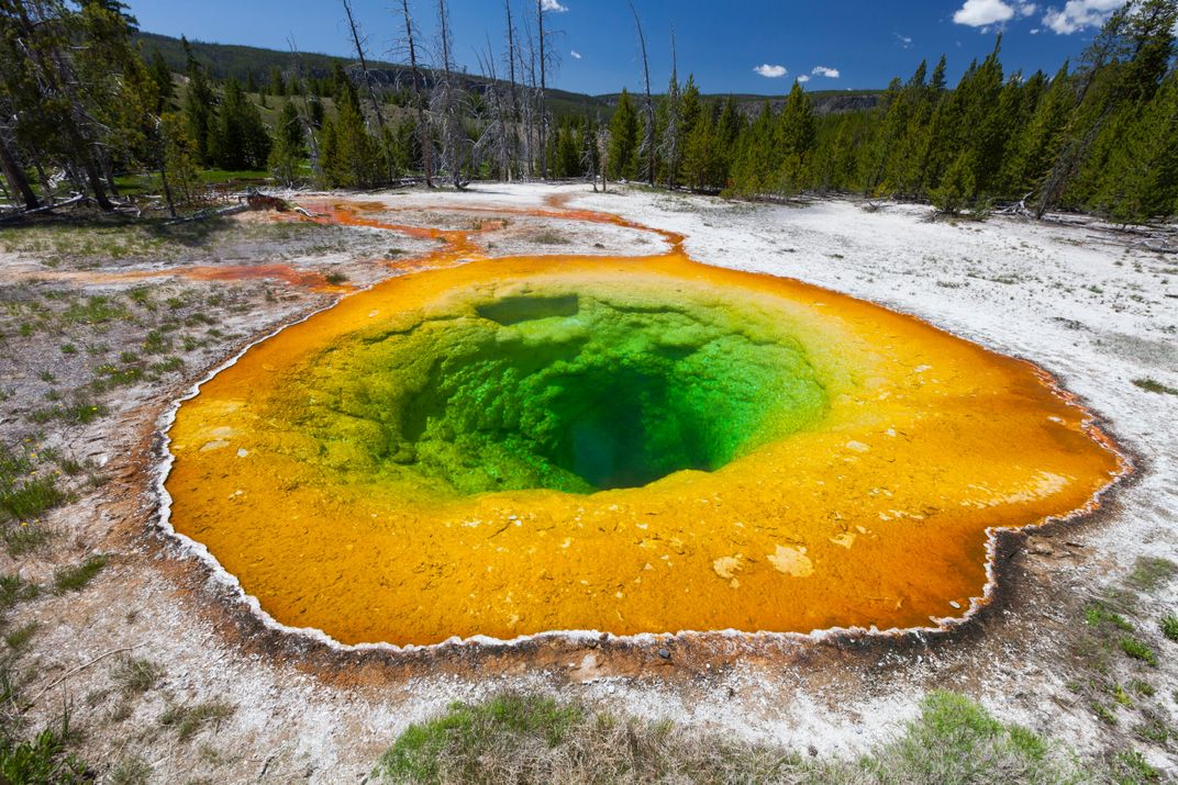 Green Morning Glory Pool